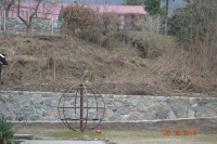 /album/fotogaleria/dsc-0050-jpg/